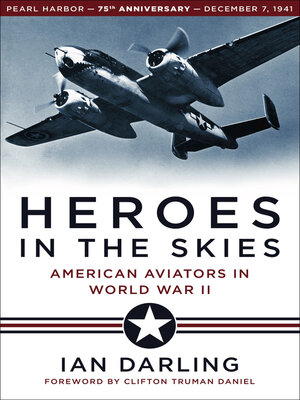 cover image of Heroes in the Skies